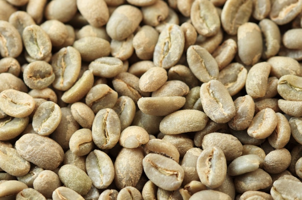 White coffee beans to ground in a grinder.