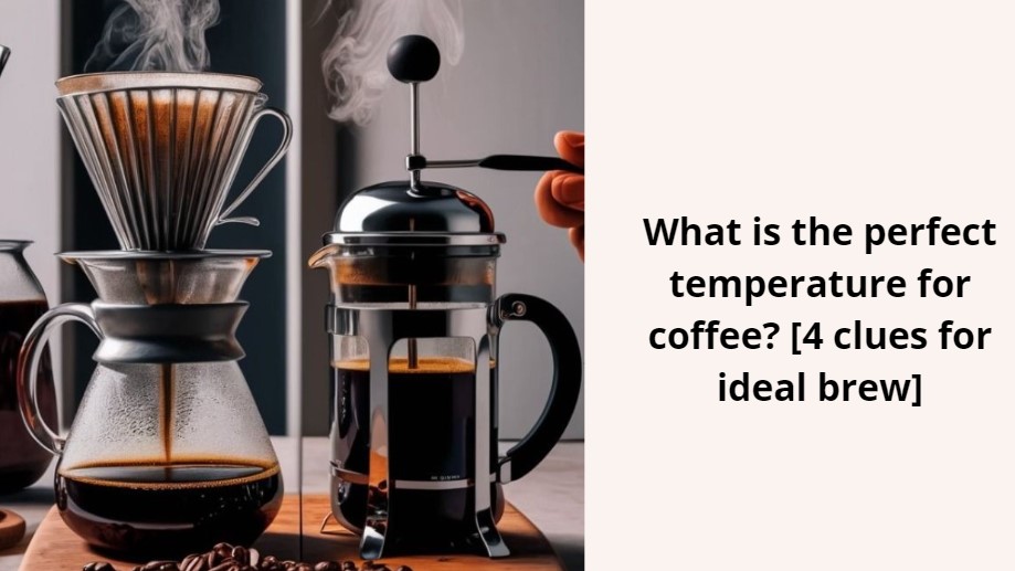 What is the perfect temperature for coffee?