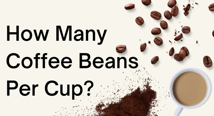 How Many Coffee Beans Per Cup? [6 Main Coffee Beans-to-Cup Ratios]